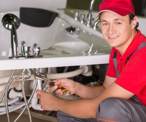 About The Faucet Pros Roselle, IL